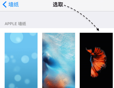 怎么设置苹果手机iphone 动态壁纸自动播放图5