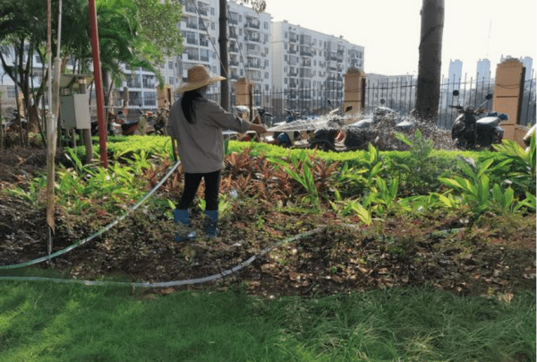 刚移栽花卉如何浇水，花盆里刚移栽的花什么时候浇水好呢图1