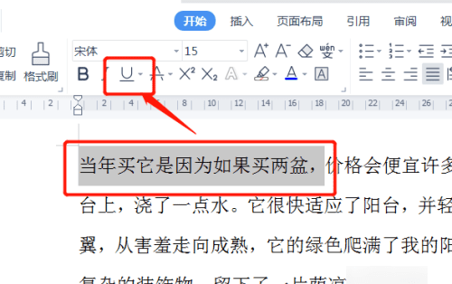 word中怎么画横线，word里面怎么加横线然后写字图5