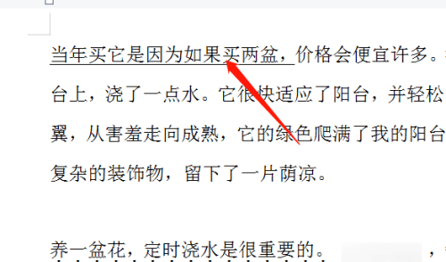 word中怎么画横线，word里面怎么加横线然后写字图6