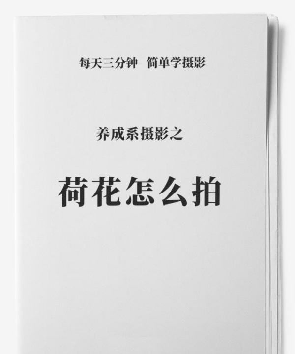 怎么样拍摄荷花，如何拍摄荷花好看