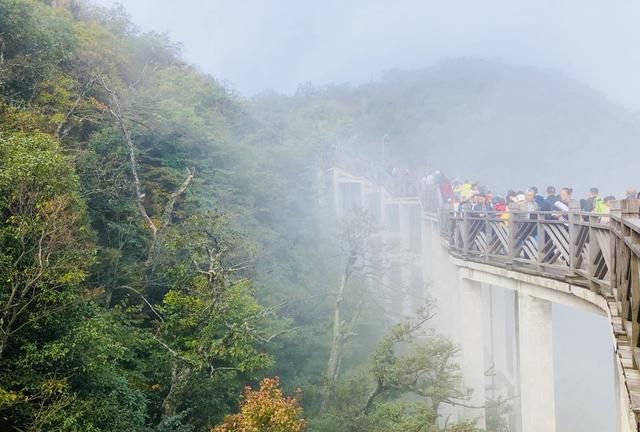 如何判断一张照片好坏图1