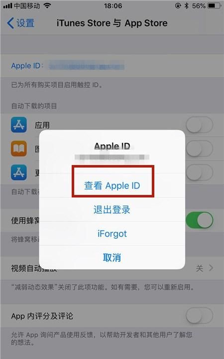 苹果手机iphone 怎么关闭自动续费图4