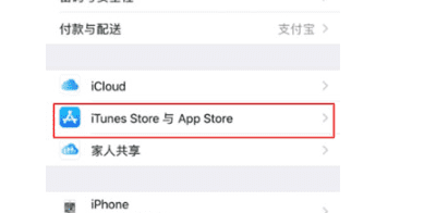 苹果手机iphone 怎么关闭自动续费图14