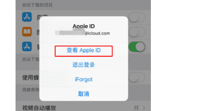 苹果手机iphone 怎么关闭自动续费图15