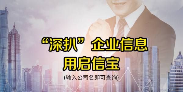 启信宝怎么查个人信息，启信宝可以查到法人身份证号码吗