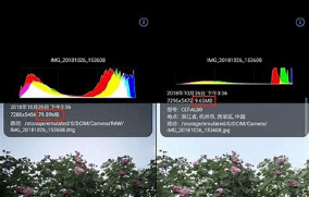 raw模式是什么意思，raw格式是什么意思图3