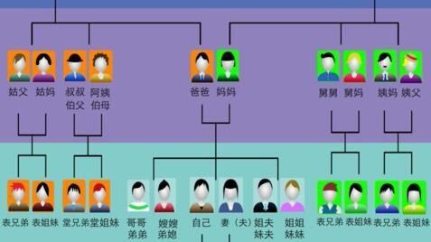 舅舅和外甥女的关系称谓怎么填写图1