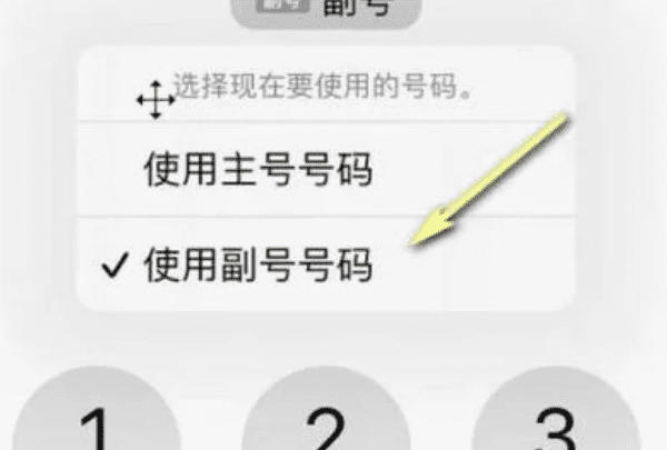 苹果手机iphone 双卡怎么切换图3