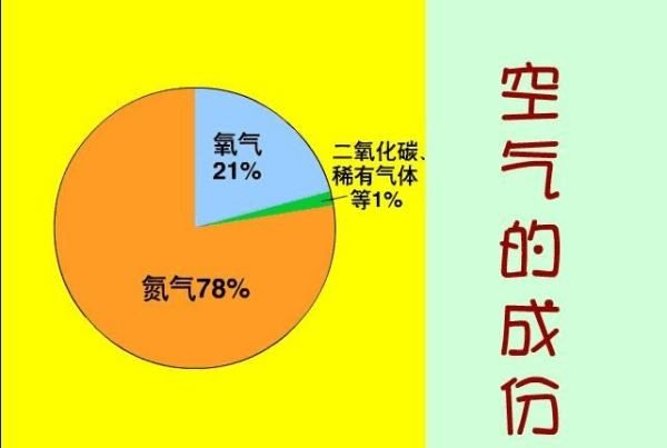 空气的成分包括哪些，空气的成分有什么组成图1