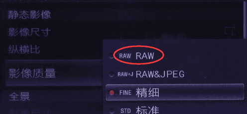 如何调整raw文件，调整raw格式照片的软件图2