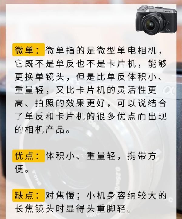 微单和单反如何选择，摄影新手:选微单还是单反相机图3