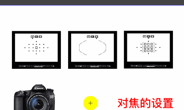 单反如何调对焦点，佳能单反相机型号排名及价格图6