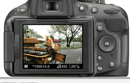 d5200怎么拍微距，尼康D5200拍摄视频图2