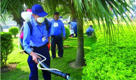 除四害是哪四害图片，除四害讲卫生四害是什么四害图1