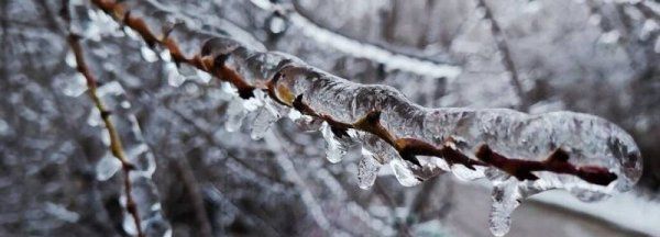 冻雨的形成条件有哪些，冻雨是怎样形成的有什么危害图2