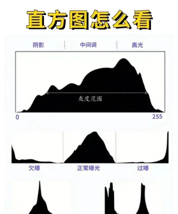 不开玩笑，照片直方图怎么看图1