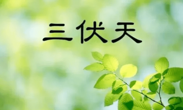 夏至后多少天是第一伏，今年的一伏二伏三伏各是几天图1