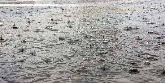 为什么下雨会有泡泡，雨下在地上为什么会起泡沫图1