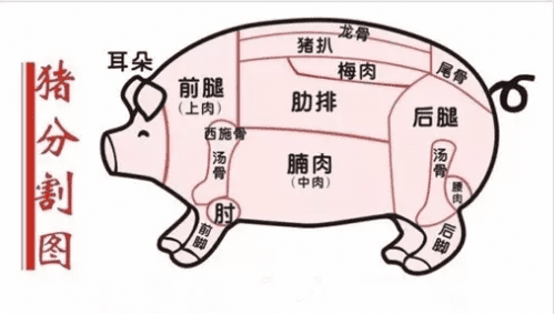 前腿肉和后腿肉怎么样区分，猪前腿肉跟后腿肉有什么区别图片图2