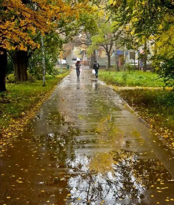 下雨地面上的泡泡怎么来的，雨水打在地上为什么会有小泡泡的声音图3