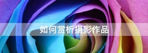 如何欣赏摄影作品，摄影作品简要说明怎么写图1