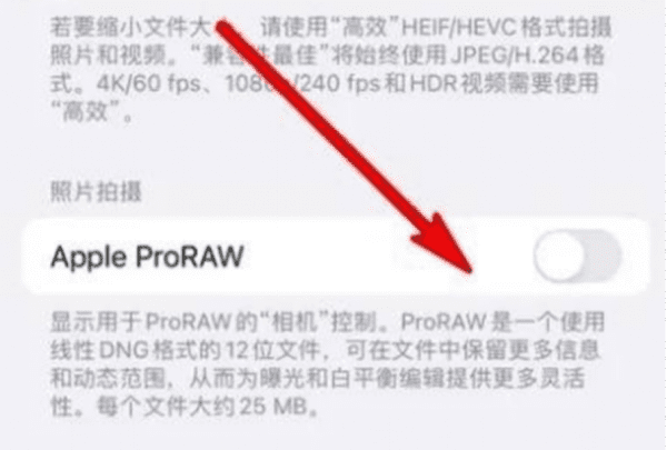 相机怎么设置raw格式，苹果手机打开raw格式照片很模糊图3