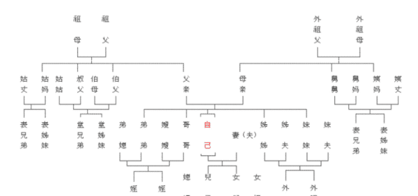 直系后代是什么意思，直系亲属是什么意思图2