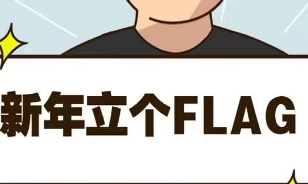 flag是什么意思，反flag是什么意思图1