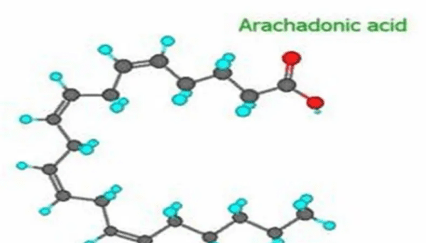 花生四烯酸属于什么，亚油酸的作用及功能图2