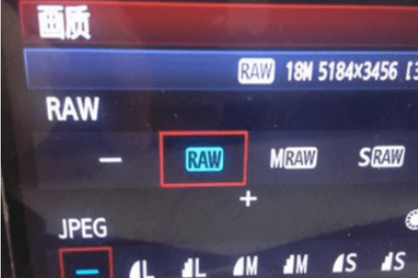 怎么把转换成raw，佳能500d的照片怎么导出来图6