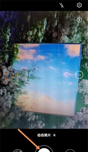 怎么抓拍跳跃，华为手机怎么抓拍运动物体图3