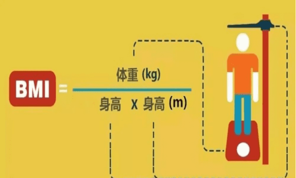 体重bim是什么意思，体重指数bmi值是什么意思图2