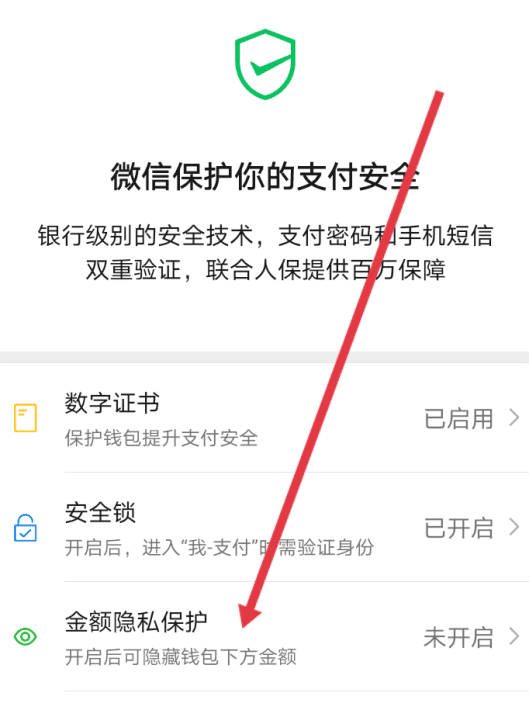 微信防盗功能怎么开启，微信安全保障怎么开启不了图5