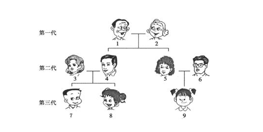 直系亲属三代以内怎么划分，直系亲属三代包括哪些人员图2