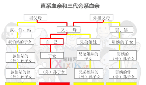 直系亲属三代以内怎么划分，直系亲属三代包括哪些人员图3