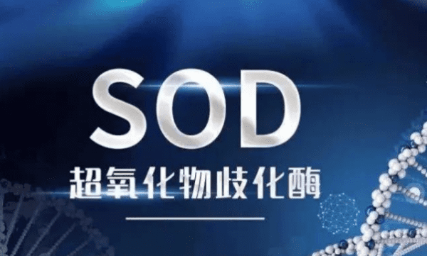 sod是什么，SOD什么玩意