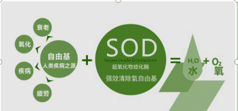 sod是什么，SOD什么玩意图2