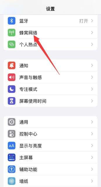 苹果手机iphone 移动数据开关在哪里图1