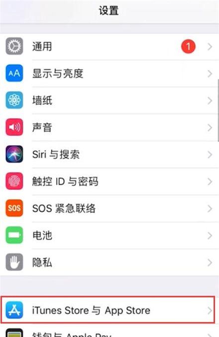 苹果手机iphone 移动数据开关在哪里图4