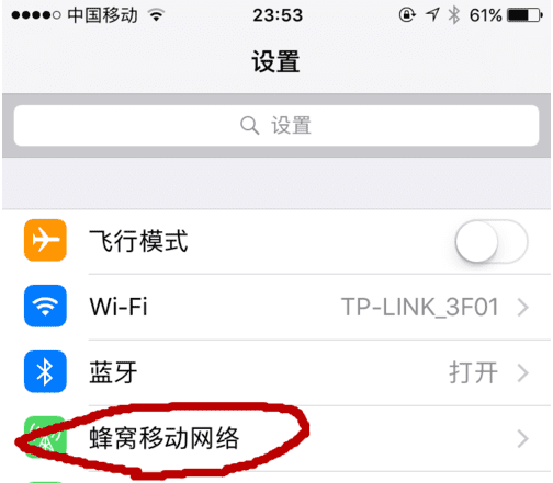 苹果手机iphone 移动数据开关在哪里图7