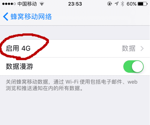 苹果手机iphone 移动数据开关在哪里图10