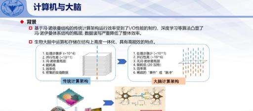 人类大脑容量是最多的图6