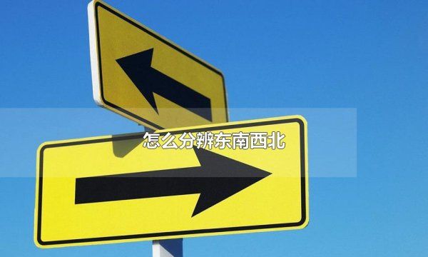 在大自然迷路了怎么辨别方向，在野外分不清东南西北怎么办图1