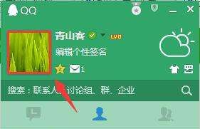 为什么qq头像变成企鹅，qq头像变成企鹅改不了图8