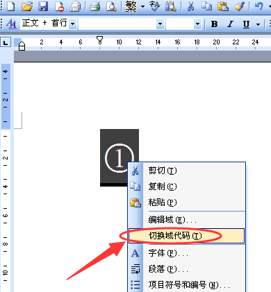 word圆圈怎么写图10