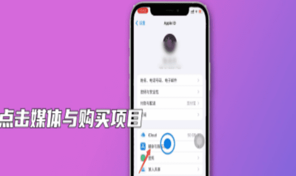 苹果扣费怎么退款，iPhone订阅扣费怎么退图2