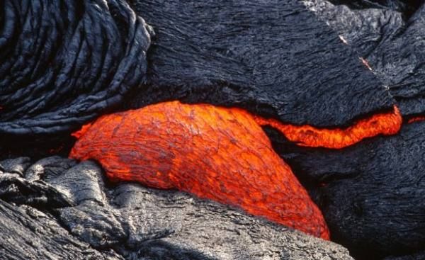 岩浆里有生物，现在地球上可以在火山岩浆中生存的生物图2