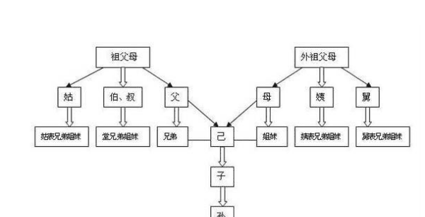 表姐堂姐有什么区别，怎么样区分表和堂姐妹图4