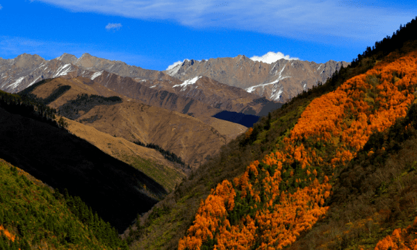 夹金山在哪 景色如何，长征中的夹金山在哪儿图3